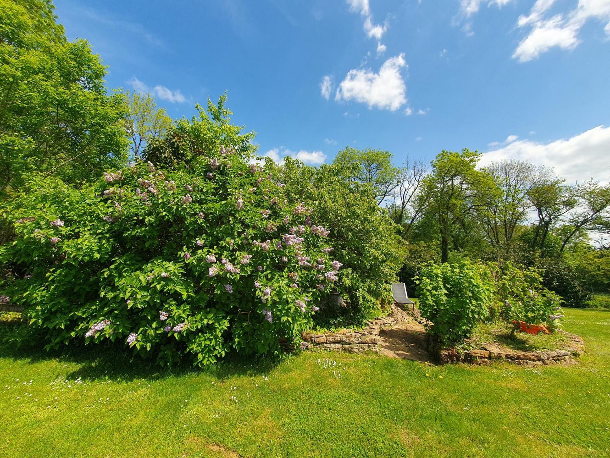 Jardin Des Sens, La Rente D'Eguilly Bed and Breakfast Eksteriør billede